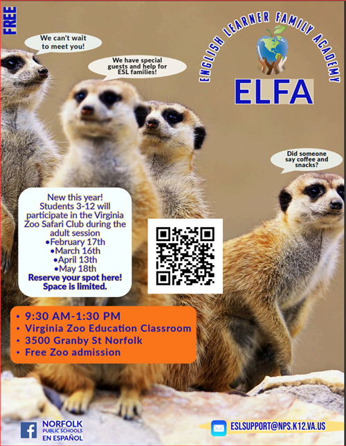 English Flyer